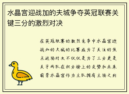 水晶宫迎战加的夫城争夺英冠联赛关键三分的激烈对决